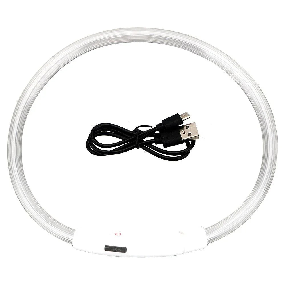 Usb Rechargeable Glow-In-The-Dark Pet Collar With Three Flashing Modes-6