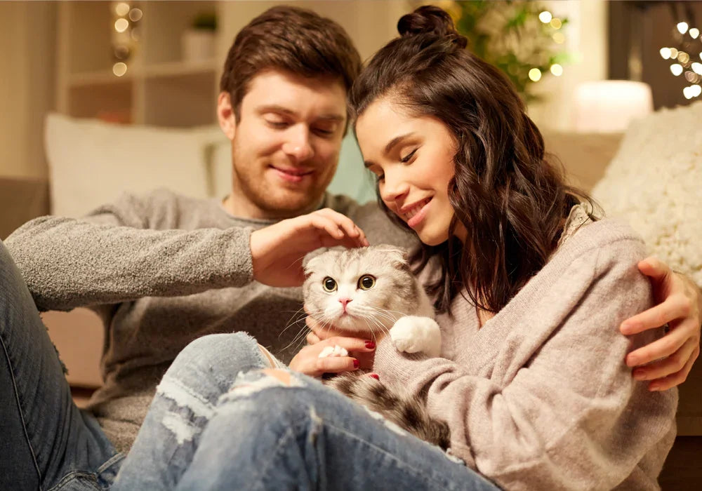 Happy couple sitting on couch cuddling and petting a gray and white cat in cozy living room